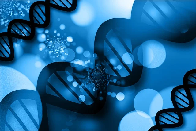 高效聚氨酯硬泡催化劑，確保泡沫快速固化，具有高閉孔率和優(yōu)異的保溫性能